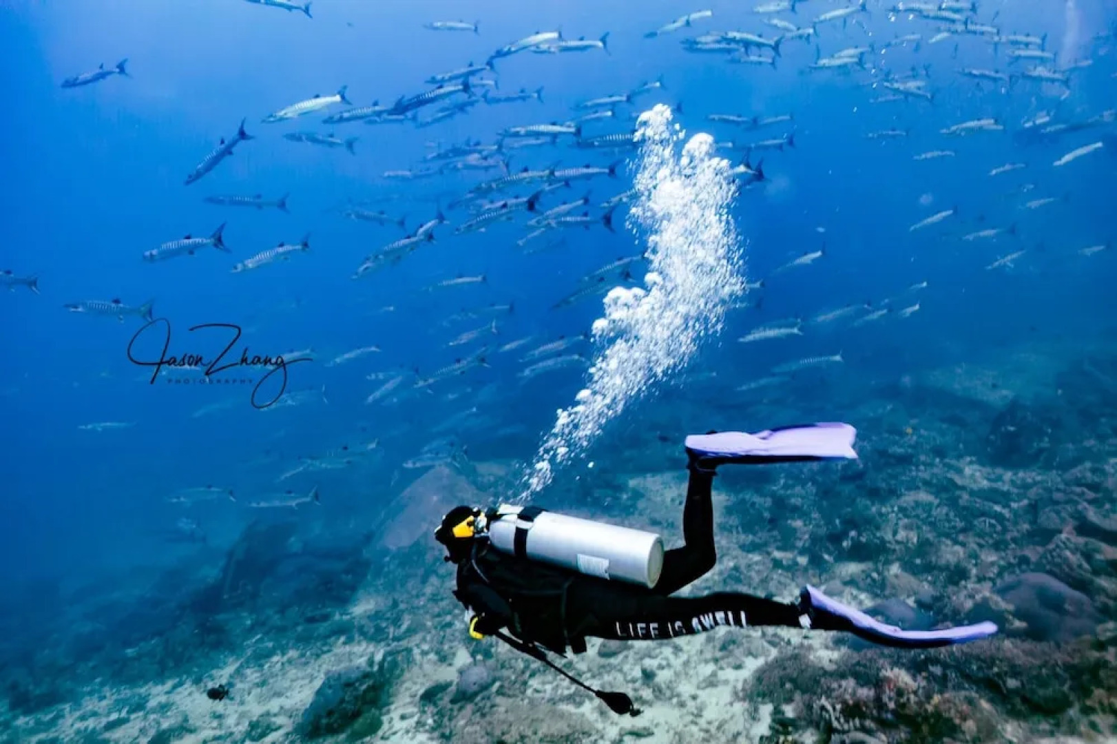 Trendy 3br Pool Villa by Intira Villa