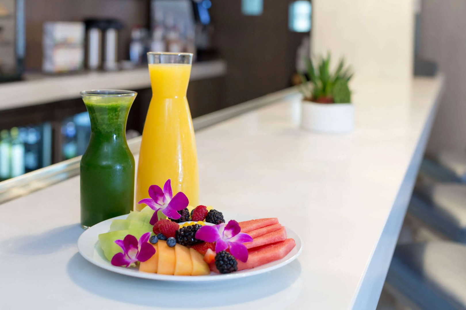 Wyndham Grand Jupiter at Harbourside Place