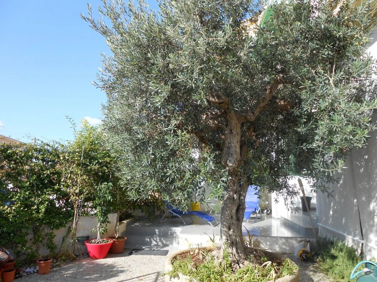 When the Home the Trip Becomes