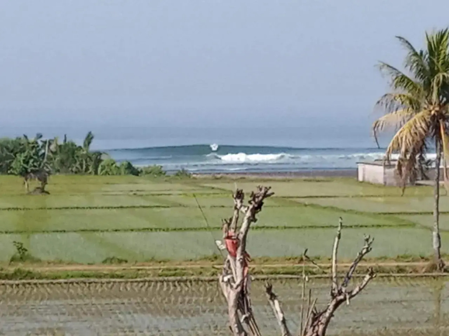 Surf Retreat Villa Sari