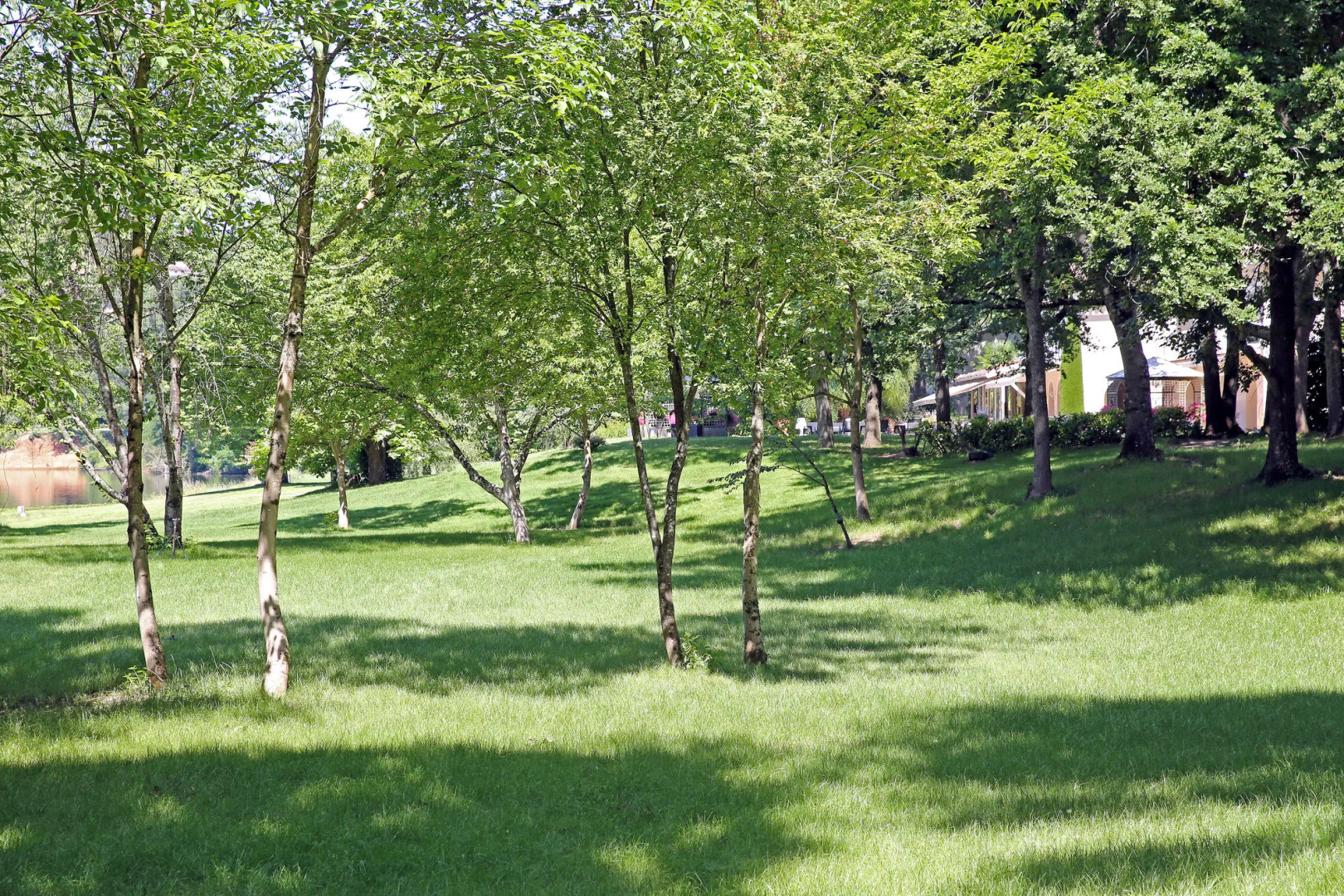 La Réserve Albi - Hotel Restaurant