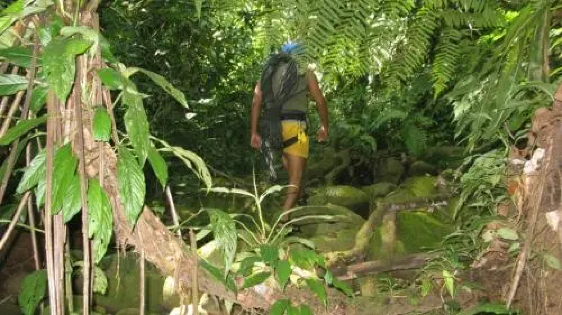 Hotel de Selva El Puente