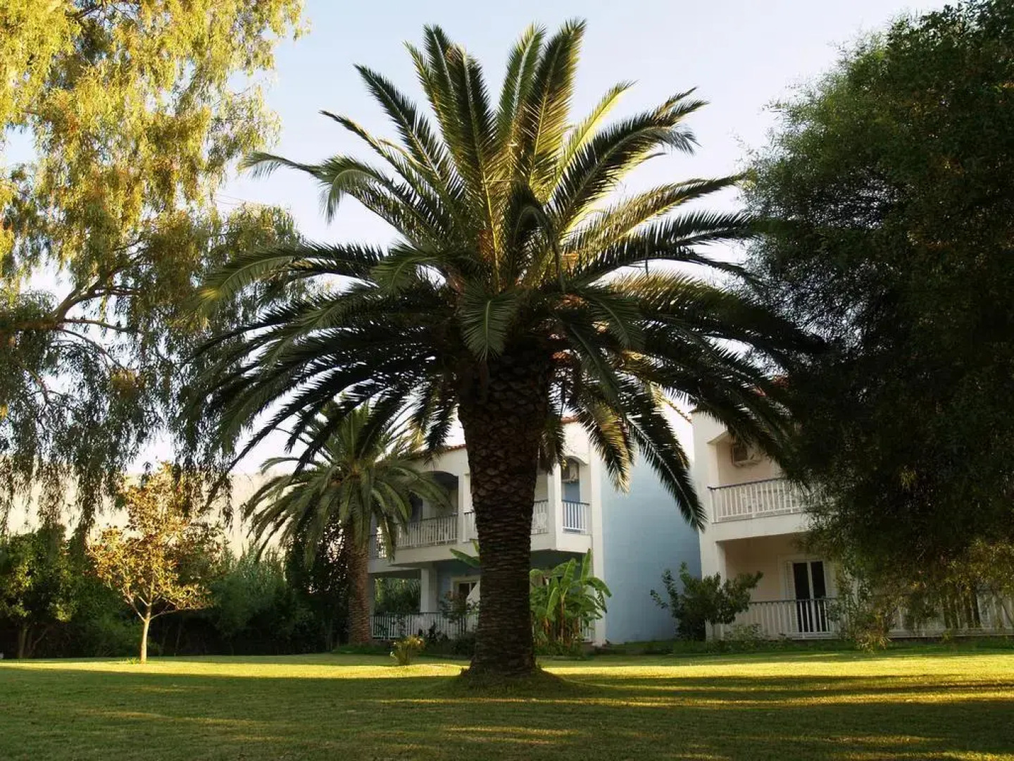 Cavo Mytikas Aparthotel