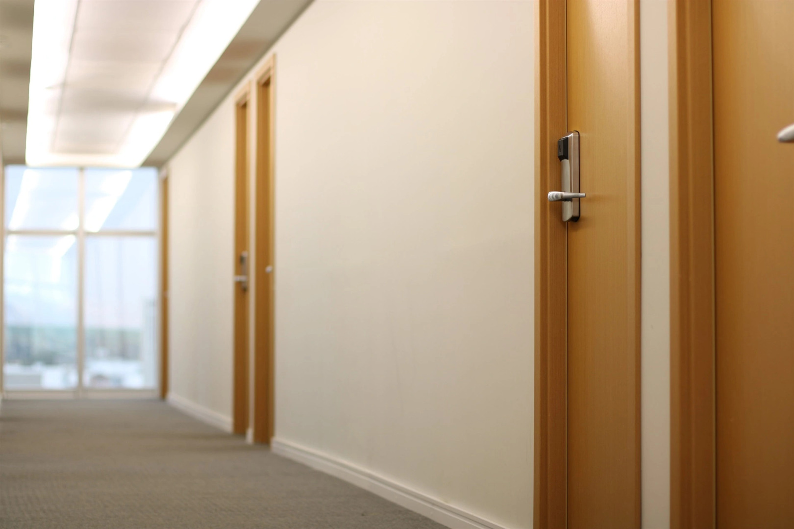 Samba Lagoa Da Prata