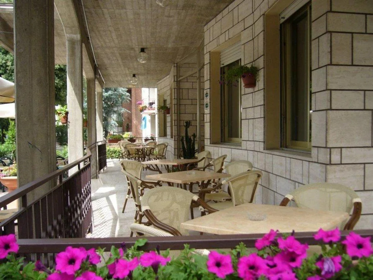 Hotel Mucciolini