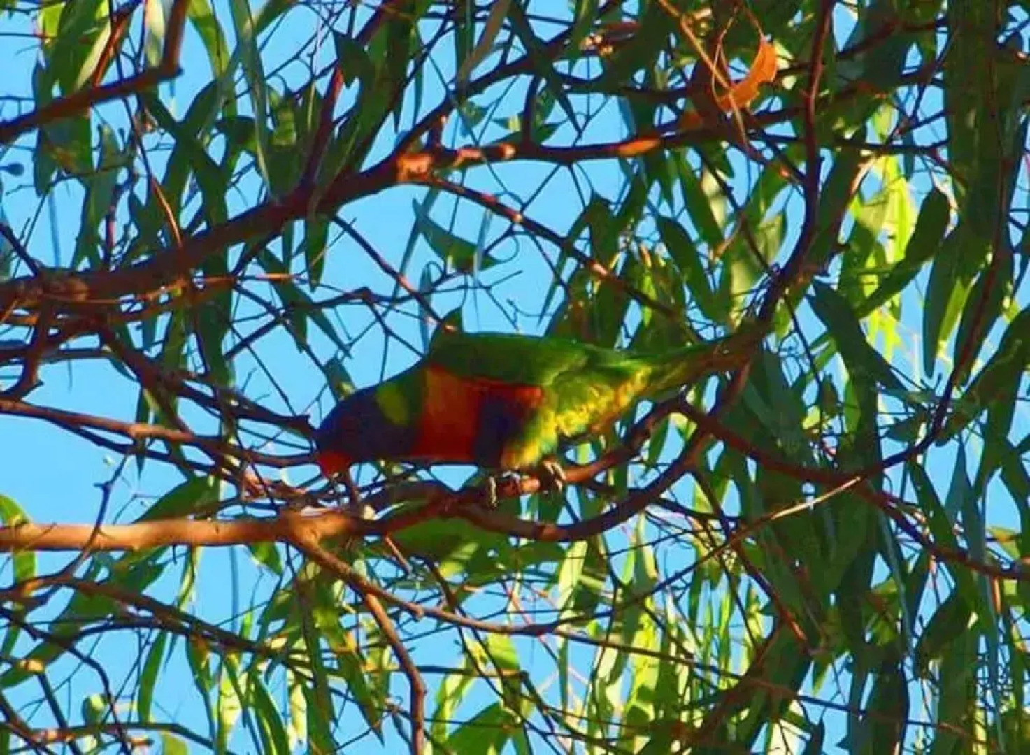 Unwind Coastal Calm Kangaroo Island