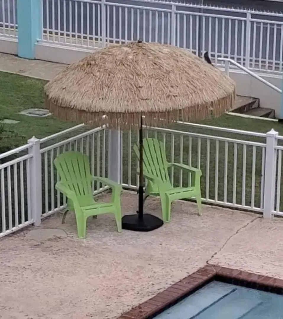 Summer all year! Oceanfront with Pool A/C