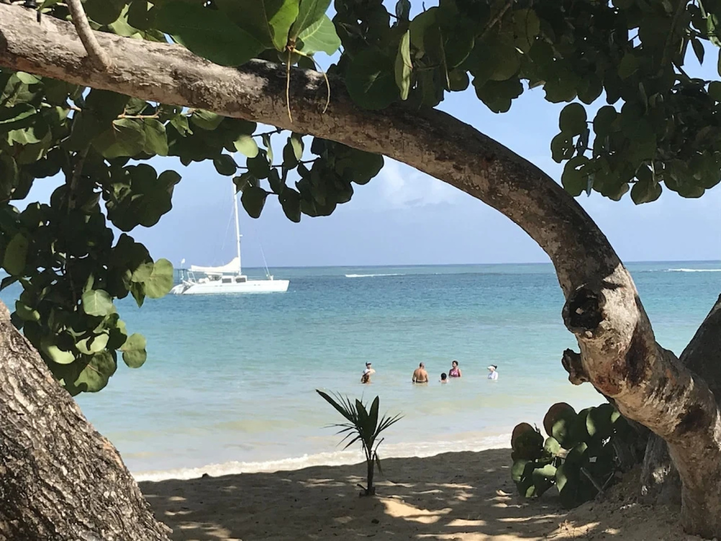 Bayahibe Hotel El Pulpo