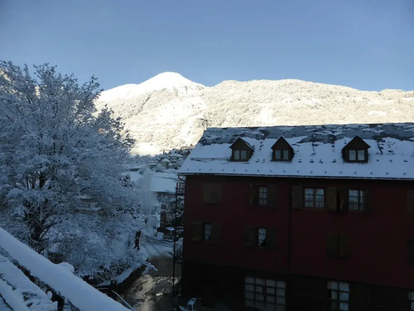 Alberg Toni Sors