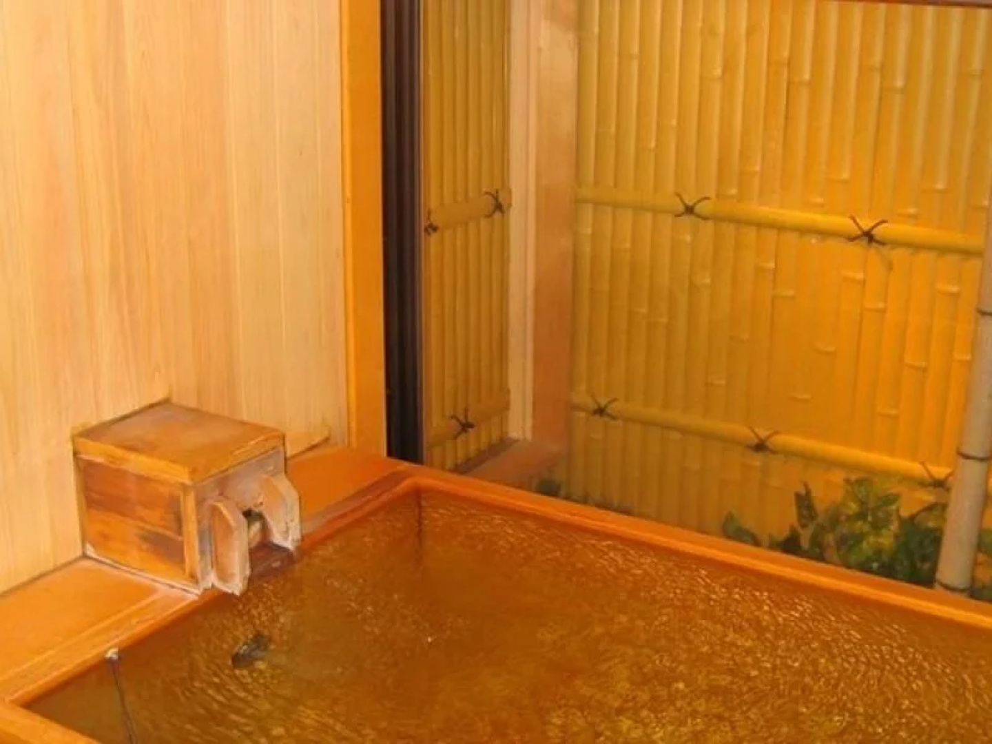Gero Onsen Kissenkan Chikusuitei