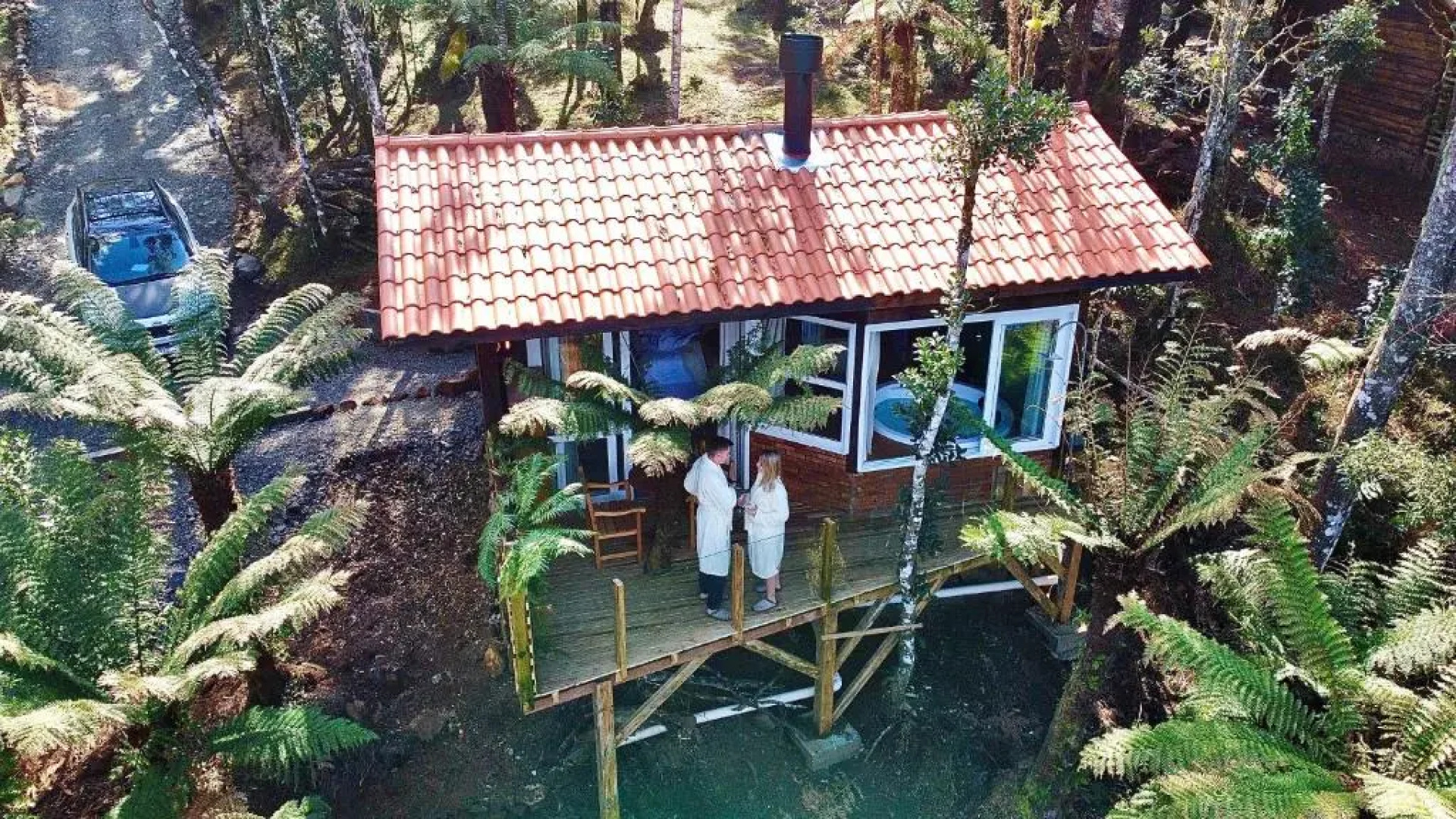 Cisne Negro Villarejo