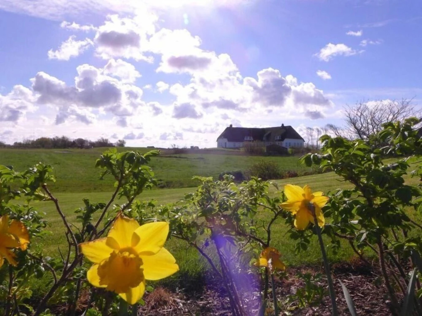 Ferienwohnung-Meeresleuchten