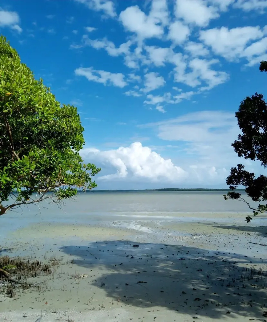 Mida Creek Eco Camp
