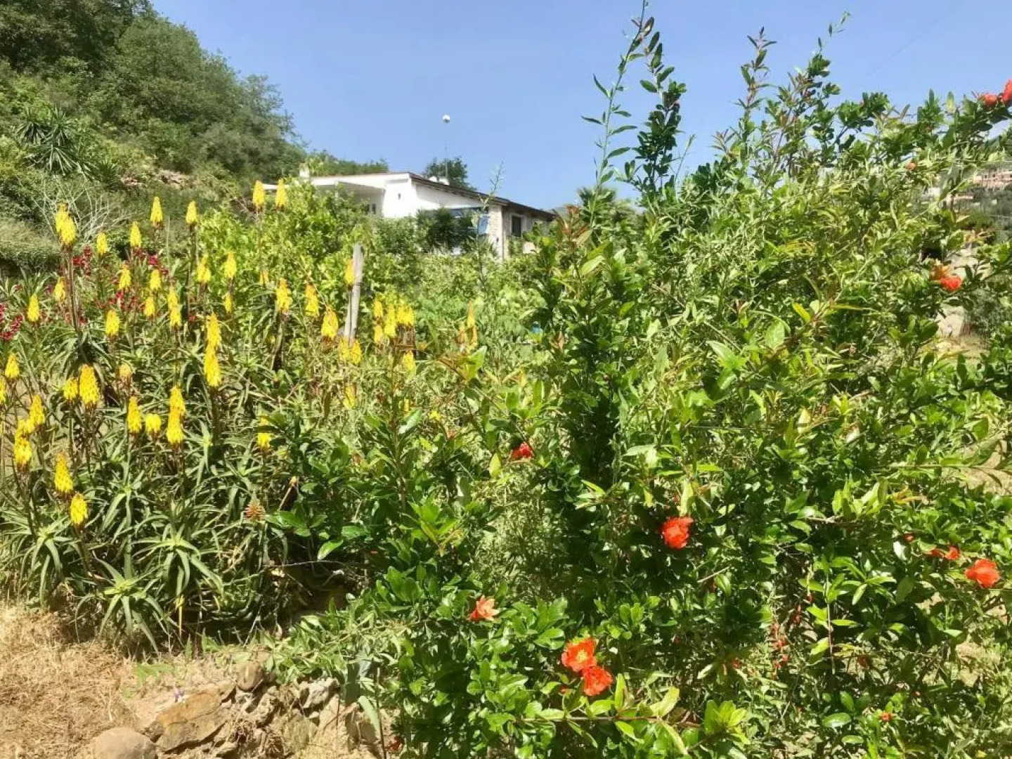 Via Molini 3 km zum Strand priv. Parkplatz