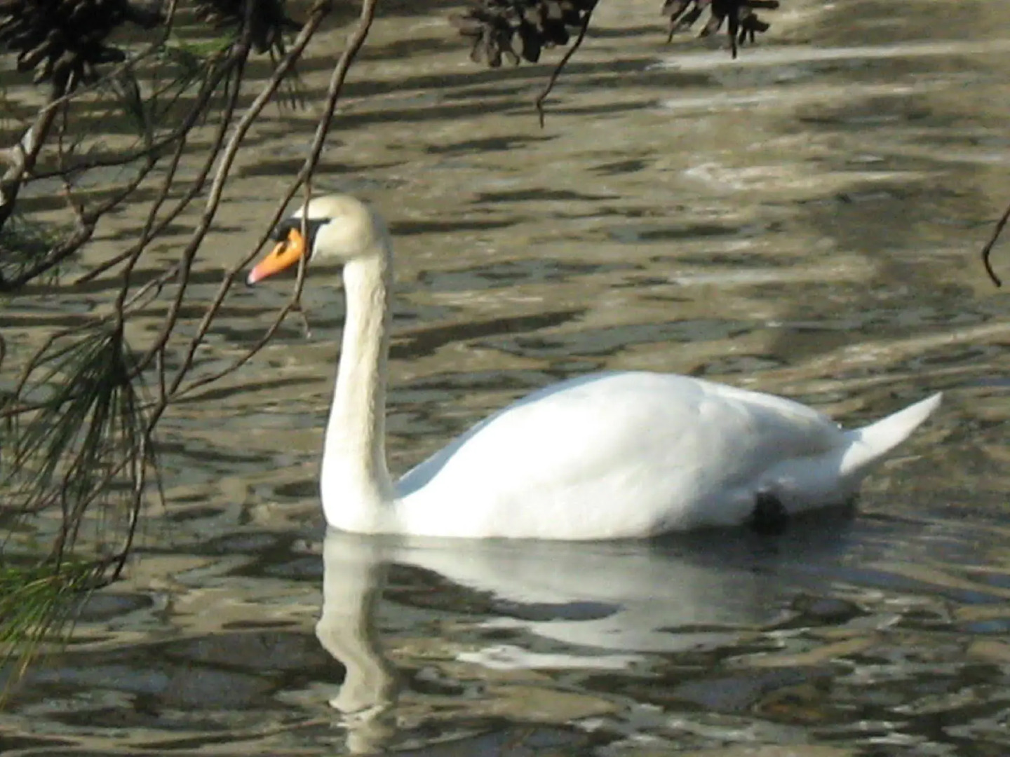 Albergo Stella Di Mare