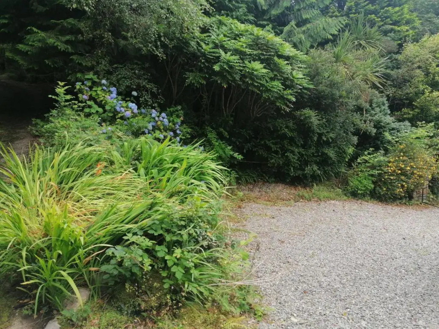 Harbourside House Glengarriff