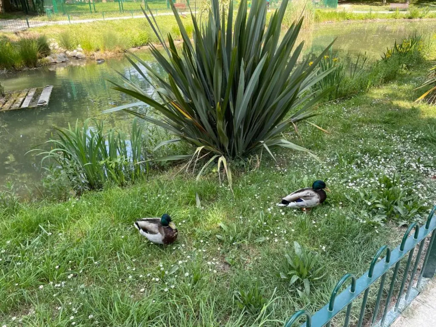 Sandy plaza supérieur