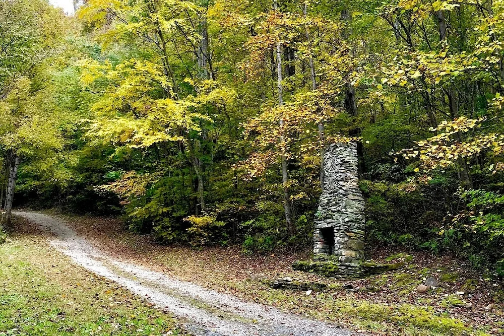 Wild Cat - 1 Br Cabin