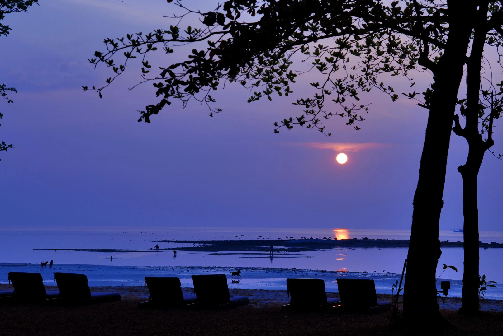 Tolani Resort Koh Samui