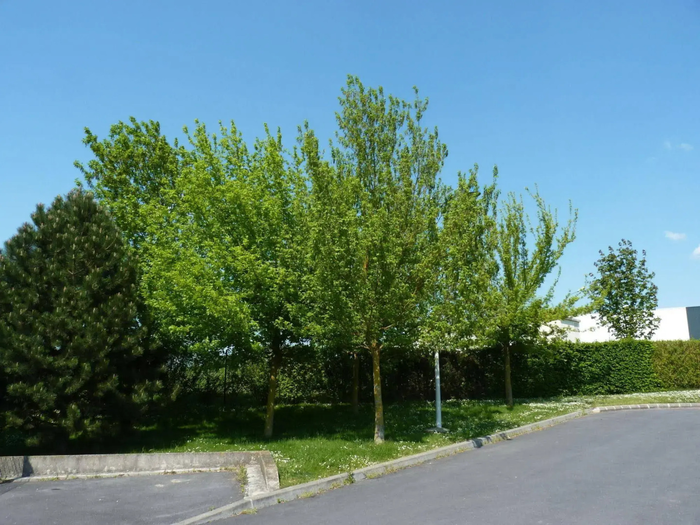 B&B HOTEL Châlons-en-Champagne