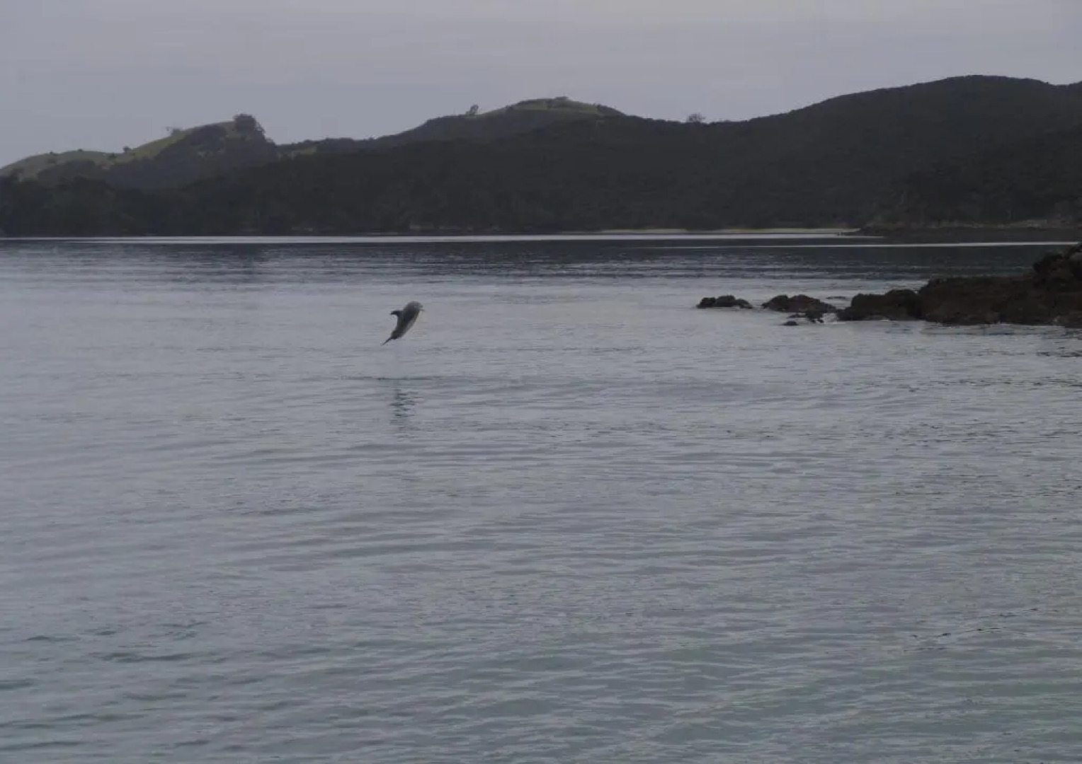Riverside Homestead Waitangi