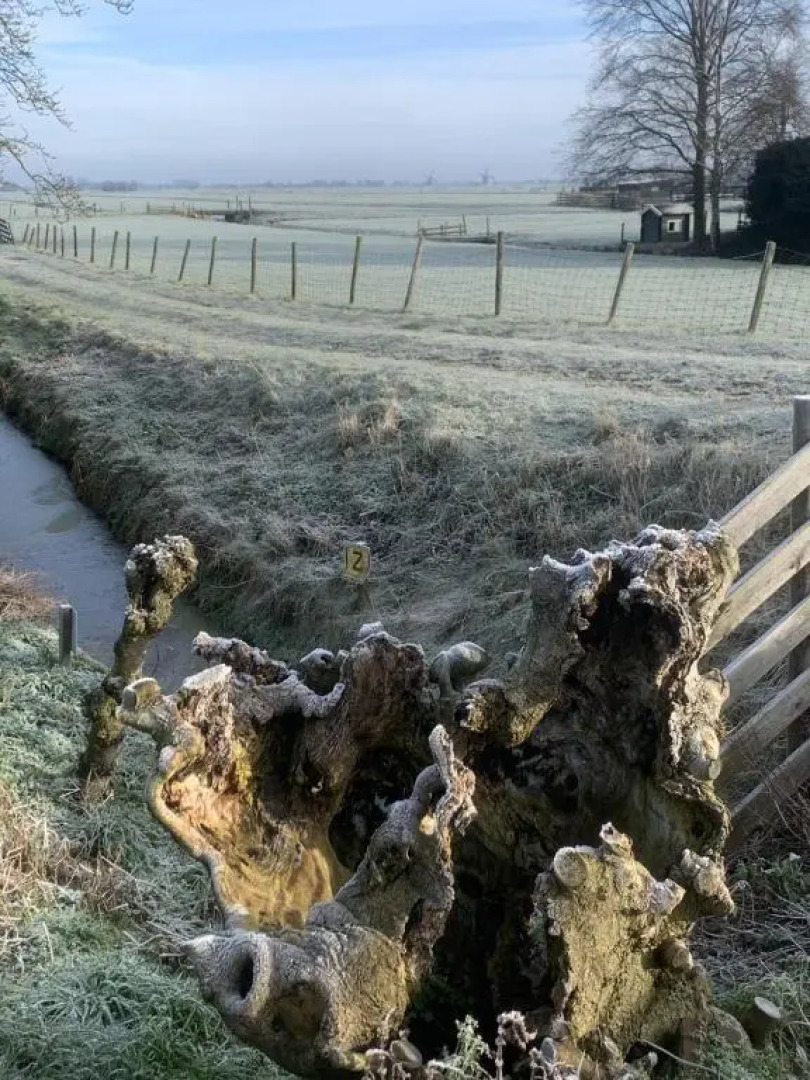 Aangenaam op de Rijn, woonboot, inclusief privé sauna