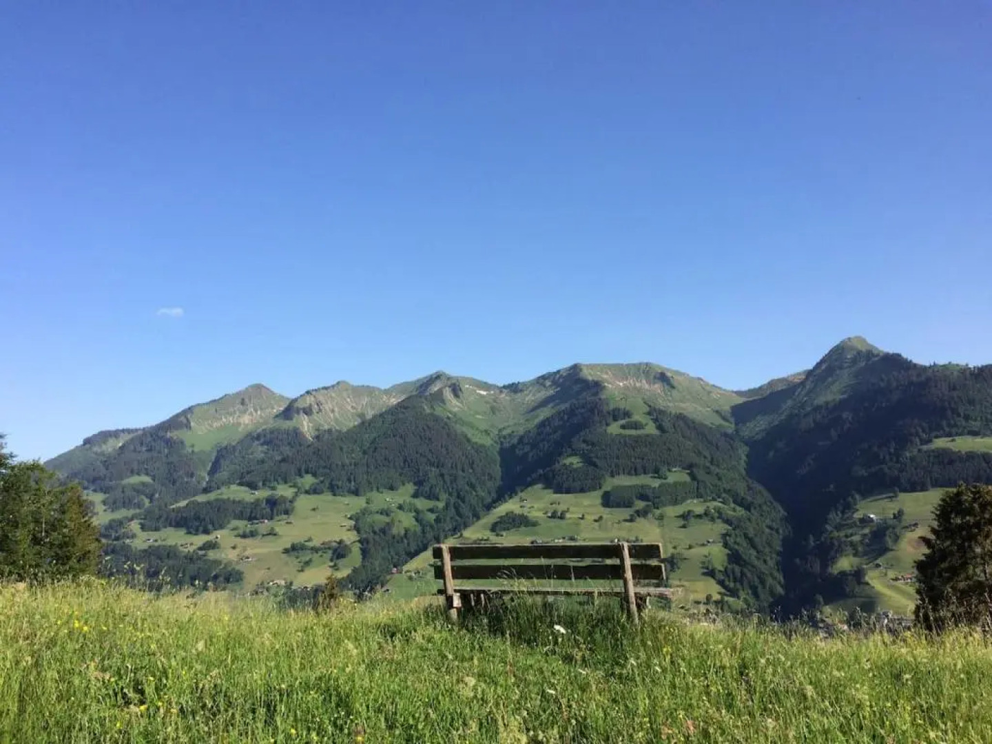 Appartement Bergblick