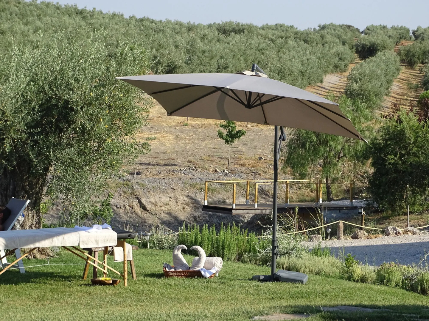 Monte da Estrela Country House & SPA
