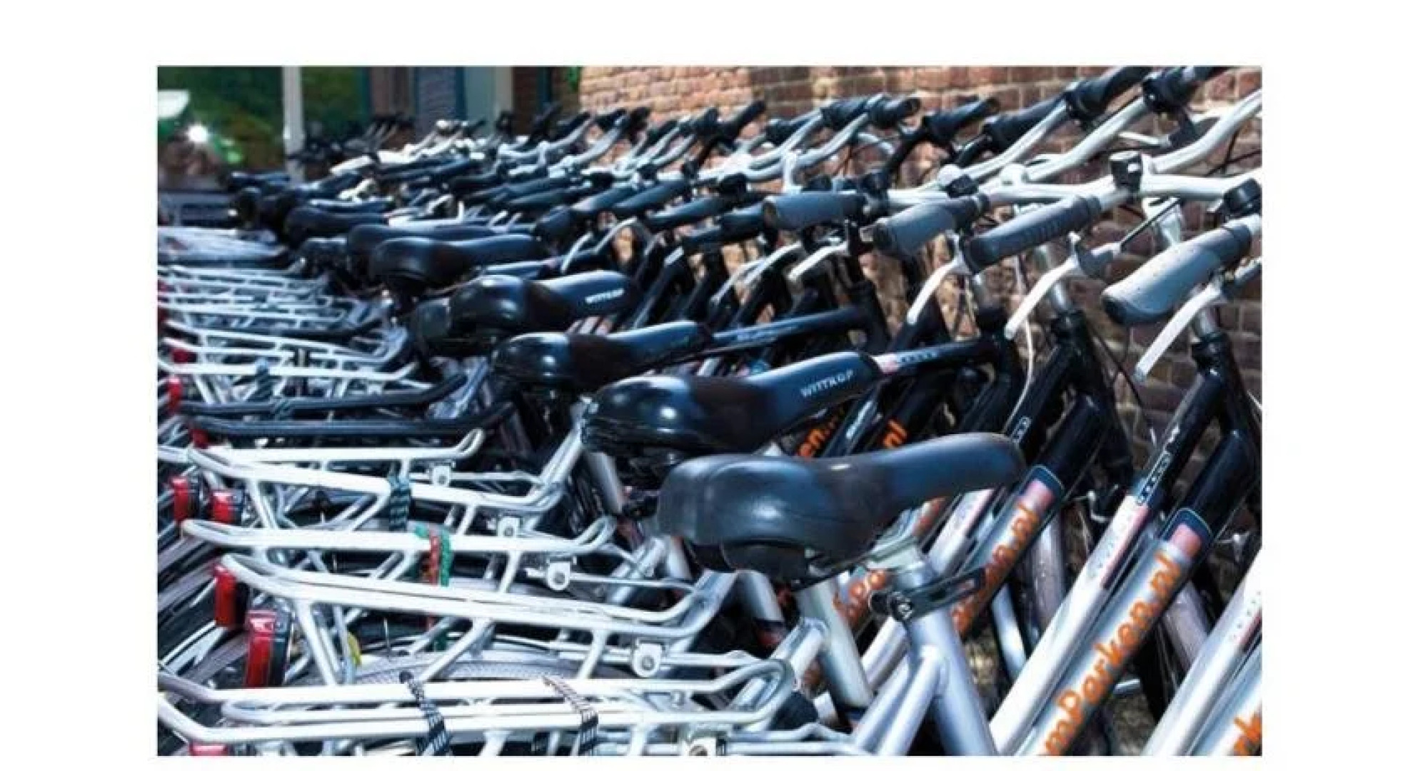 Droompark Buitenhuizen