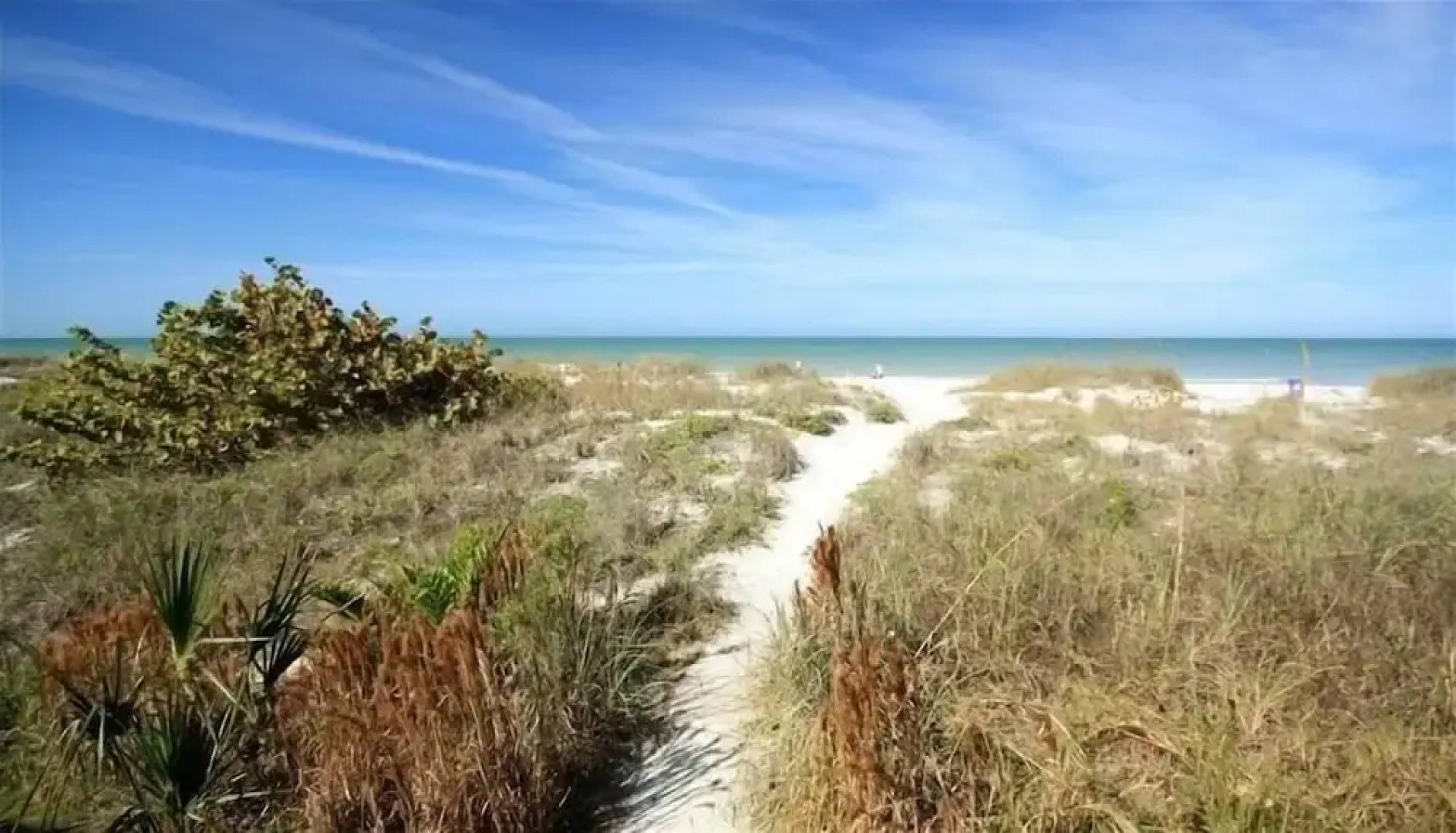 Hamilton 206 2 Br condo by RedAwning