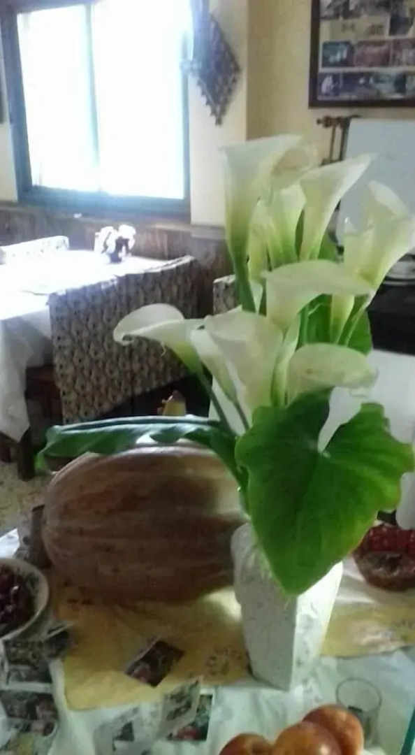 Cabañas Valle Verde