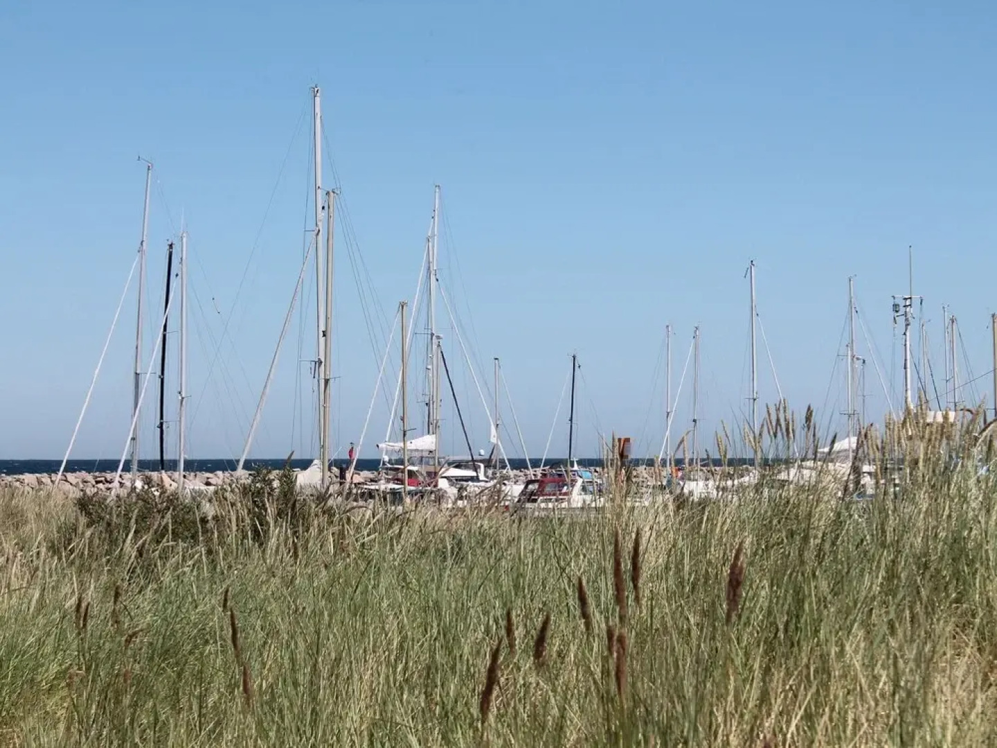 Apartments sun and moon with fireplace, terrace and garden