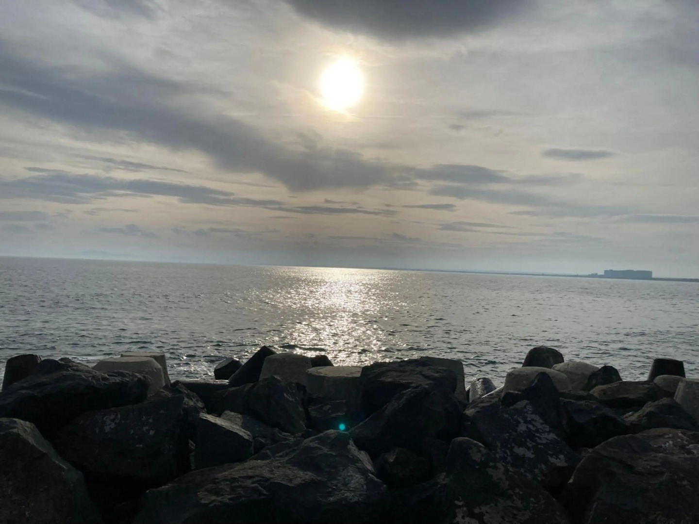 Art studio Marina Cape