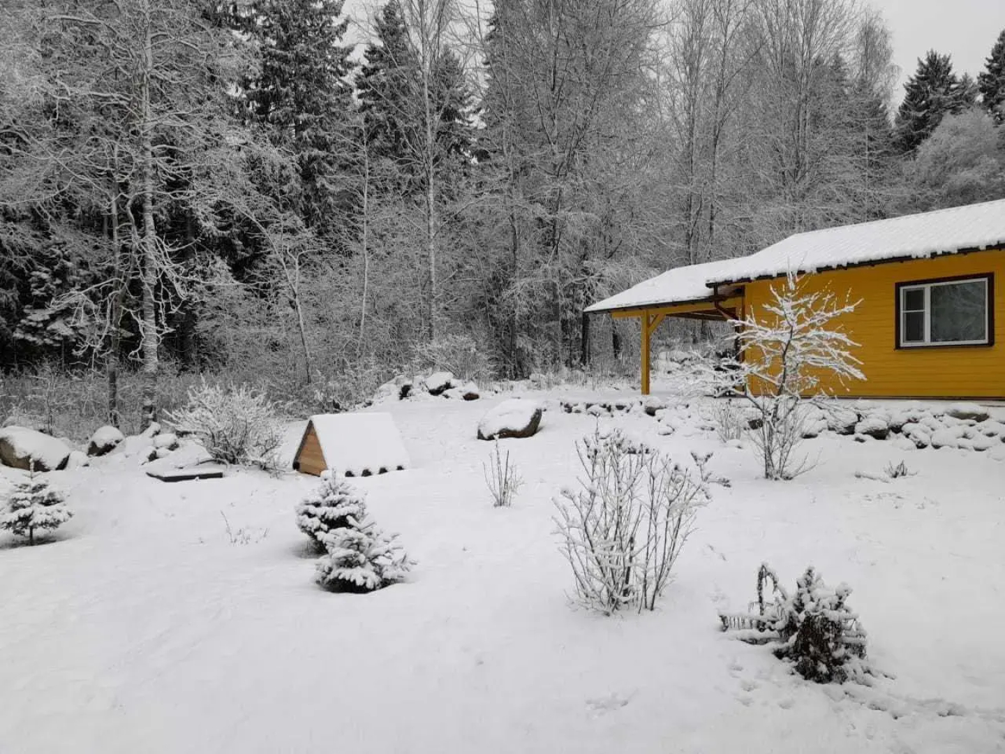 Дом с выходом в лес