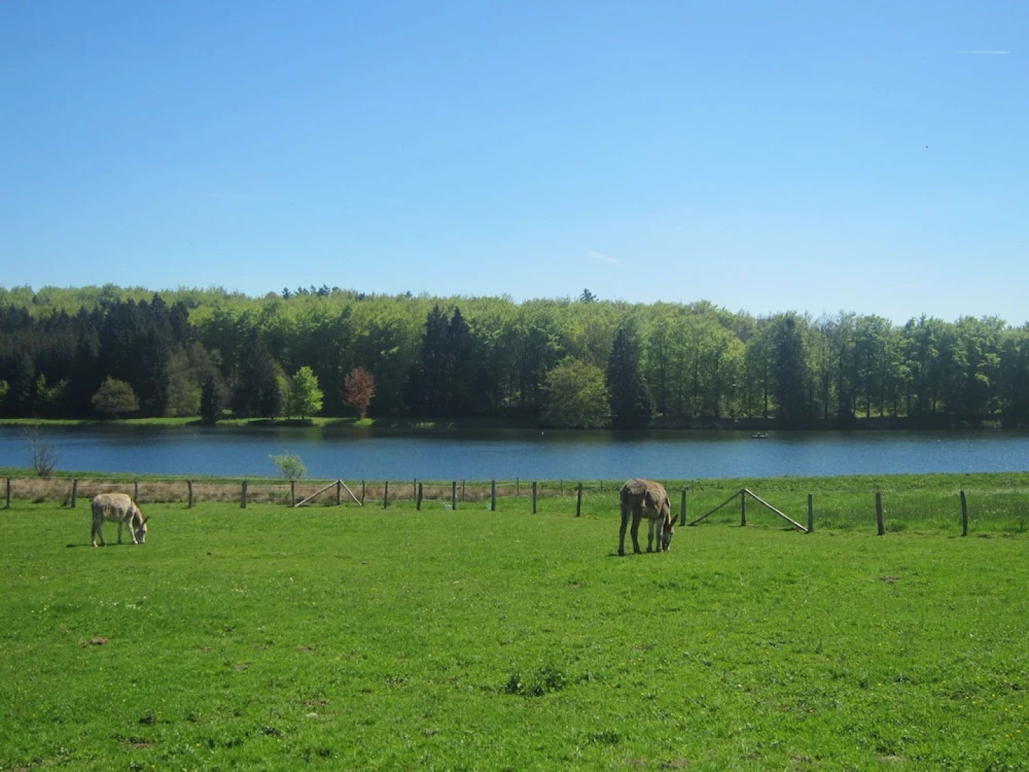 Comfortable Holiday Home in Somme-leuze With Garden