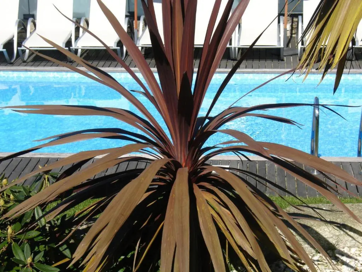 Alltominho – Villas Summer Holidays