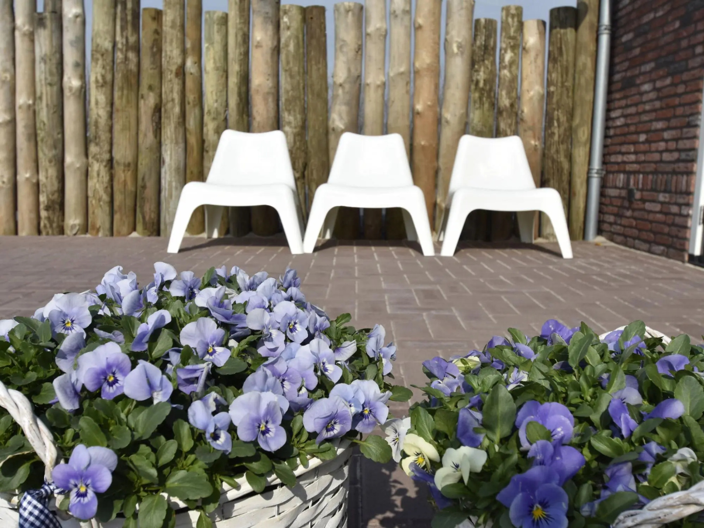 Cozy Holiday Home in Callantsoog near Groote Keeten