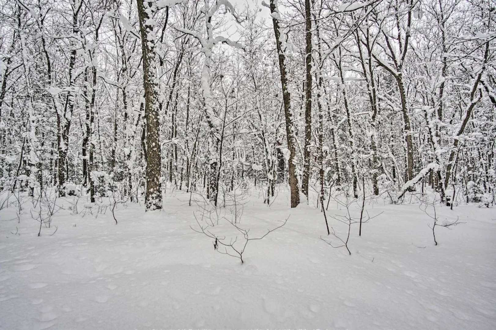 Wooded Twin Lakes Retreat: 13 Mi to Lake Michigan!