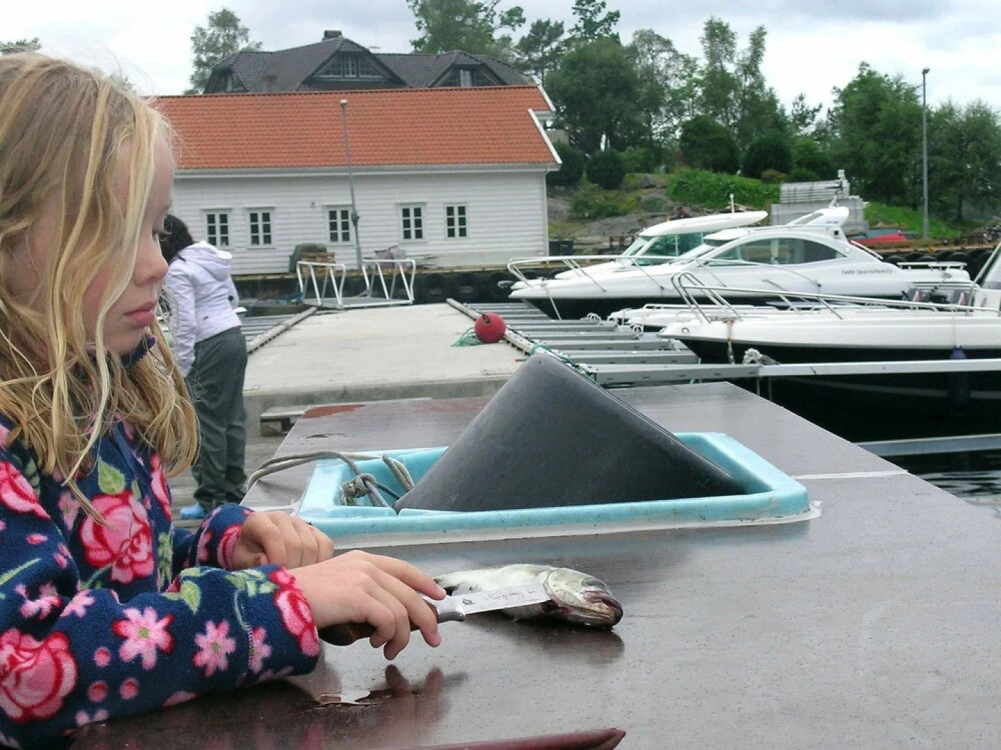 12 Person Holiday Home in Jelsa