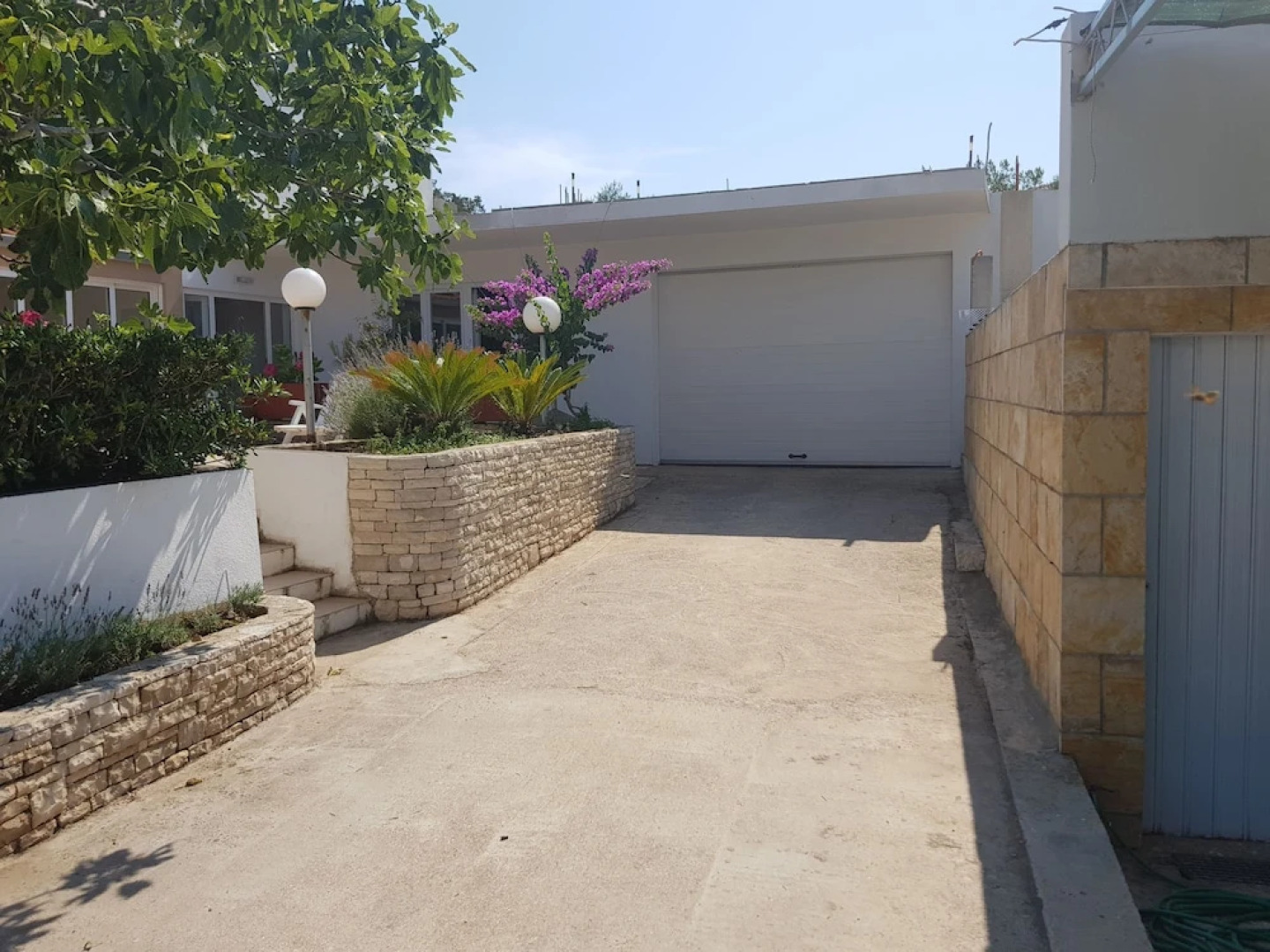 Hotel Paradise Punta