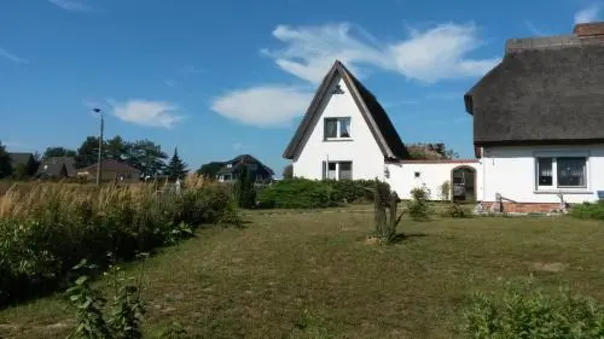 Hagebutte - [#58933]