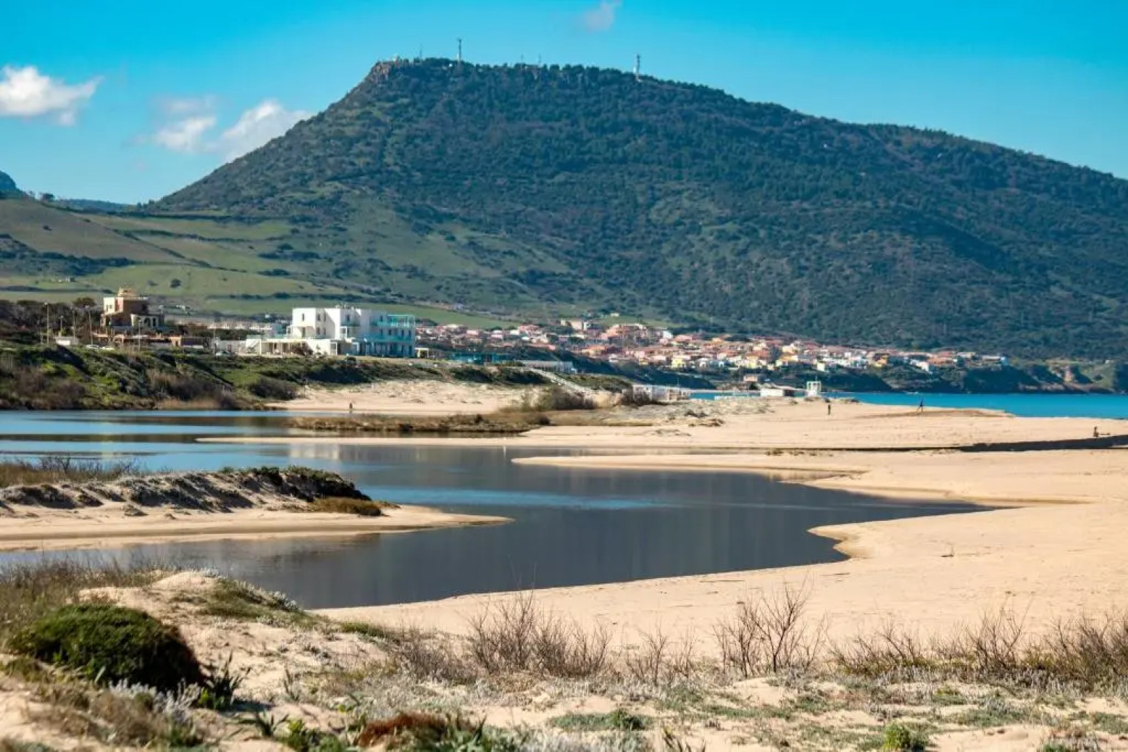 Il giardino degli ulivi