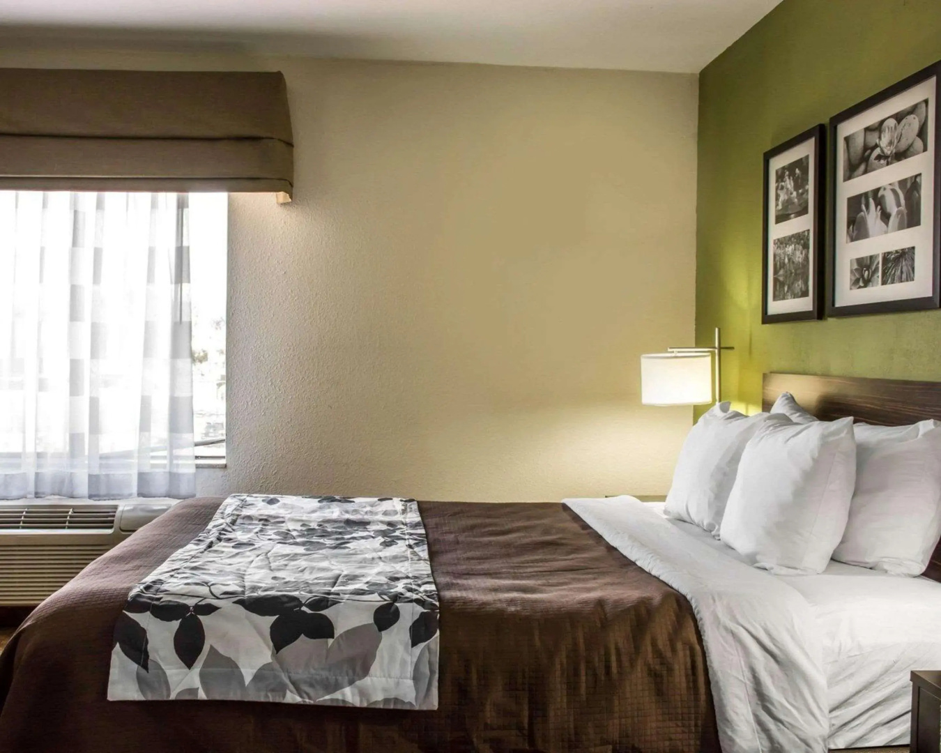 Sleep Inn & Suites Cullman I-65 exit 310