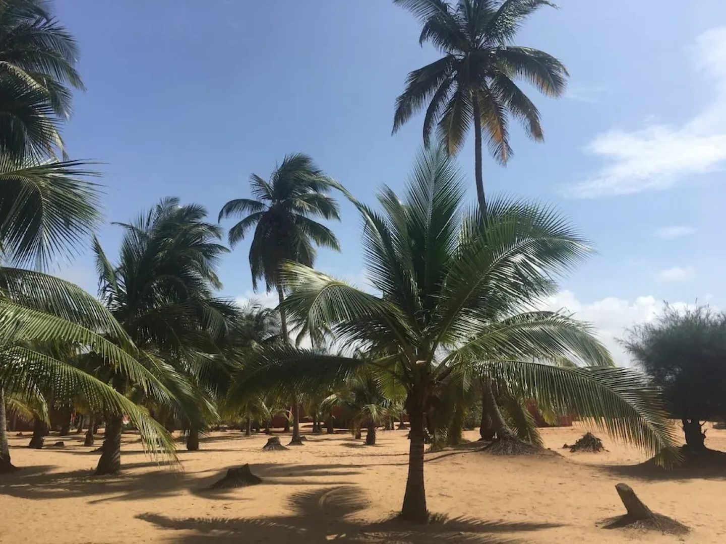 Bénin Diaspora Hôtel