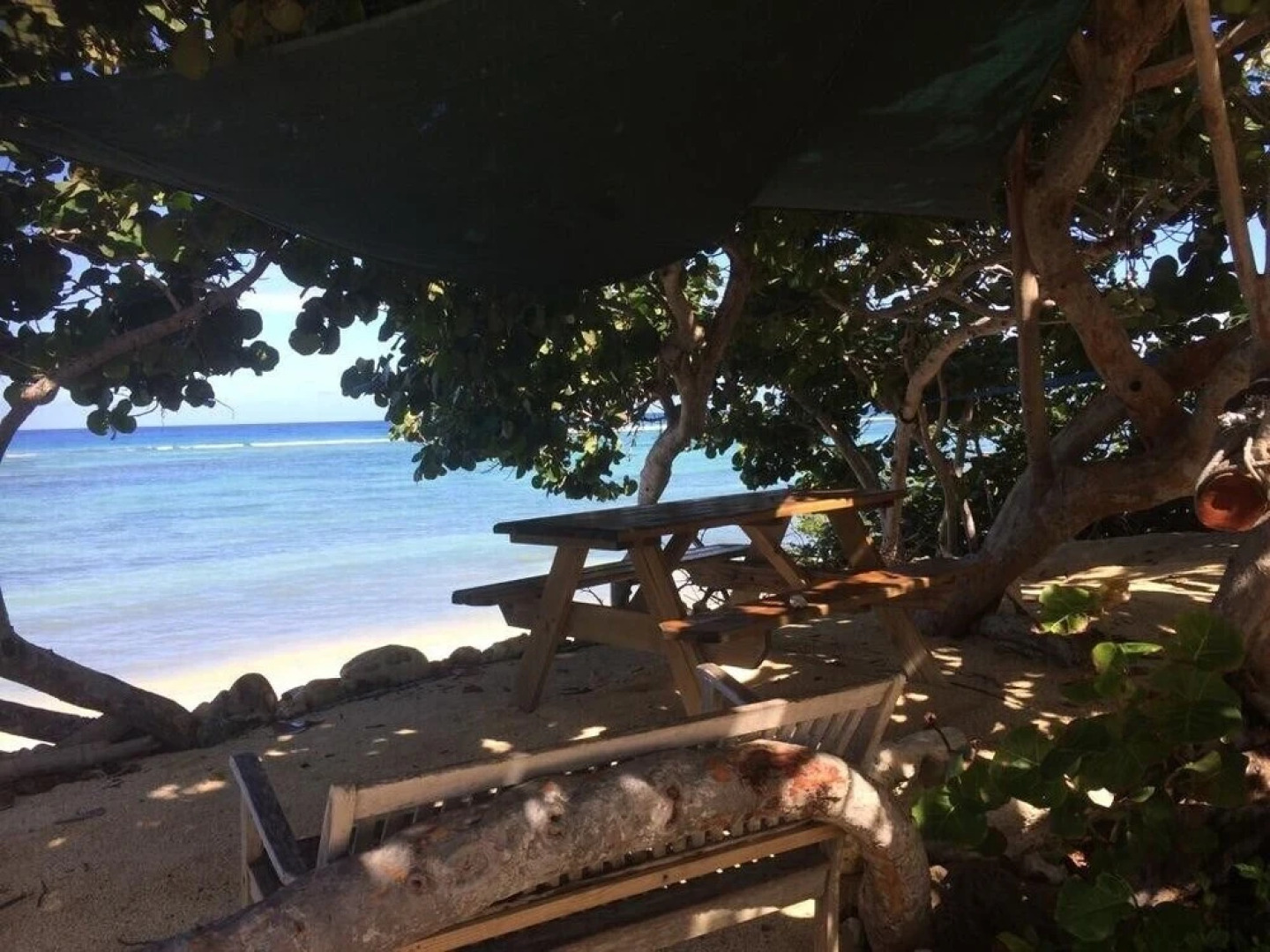 Suite 1 Beach Shuttle Concierge Garden Cats