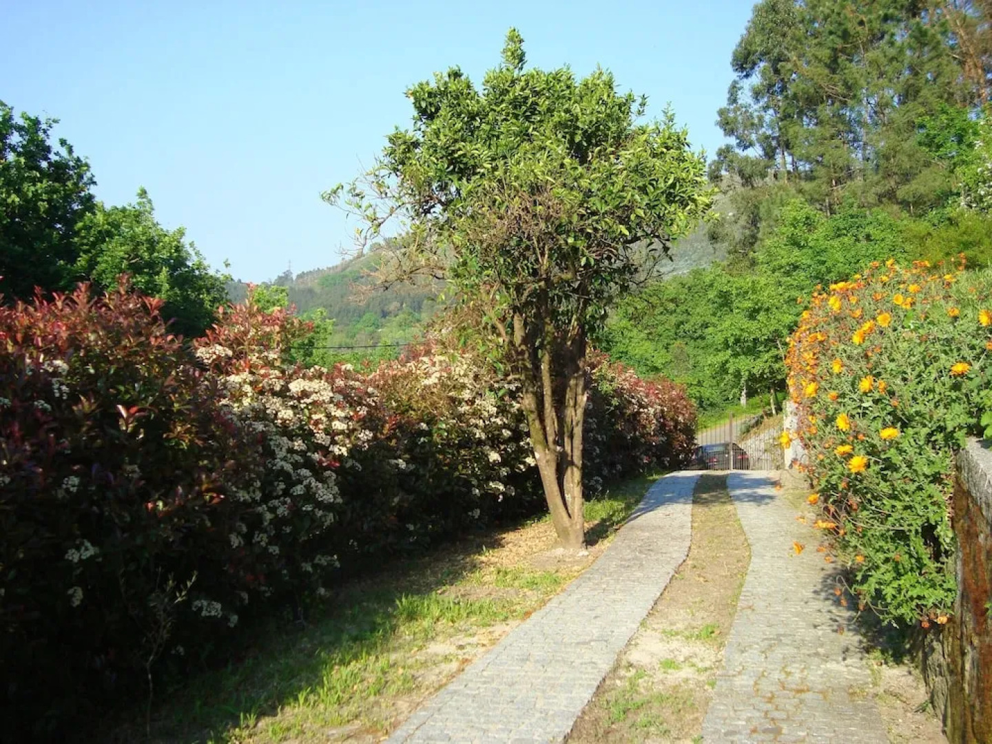 House With 3 Bedrooms in Este , With Wonderful Mountain View, Enclosed Garden and Wifi Near the Beach