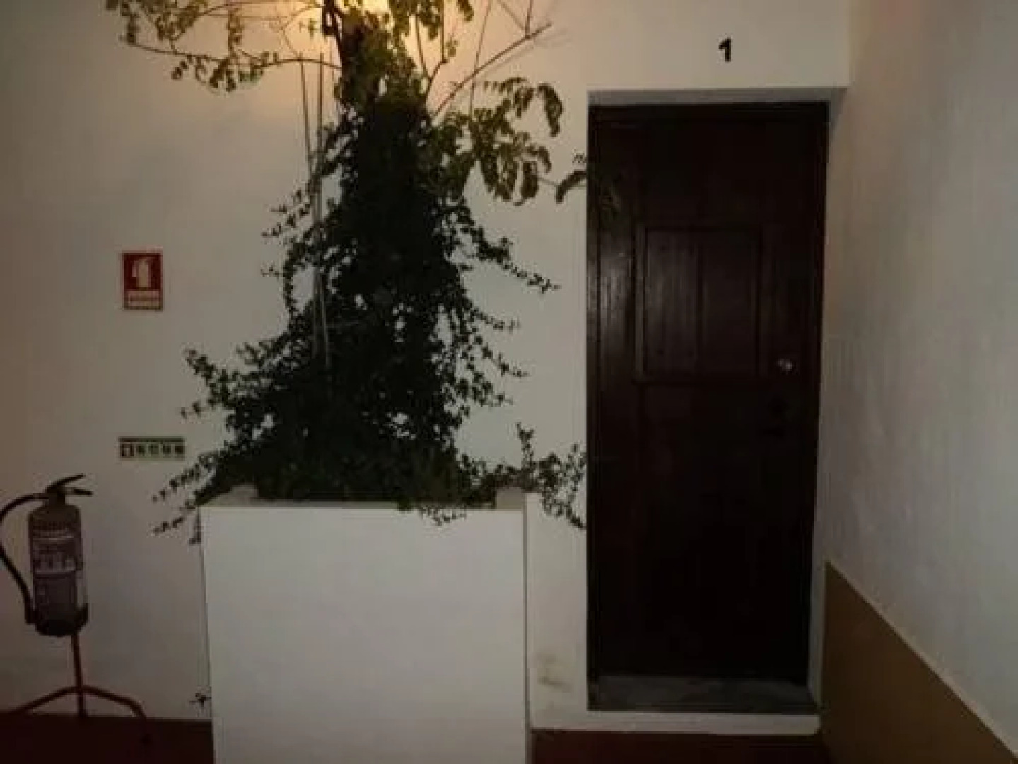 Alojamento Pero Rodrigues