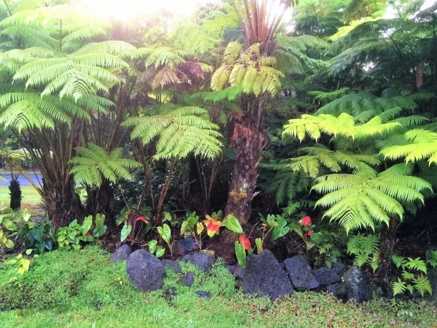 Hale OnaOna by Hawaii Volcano Vacations