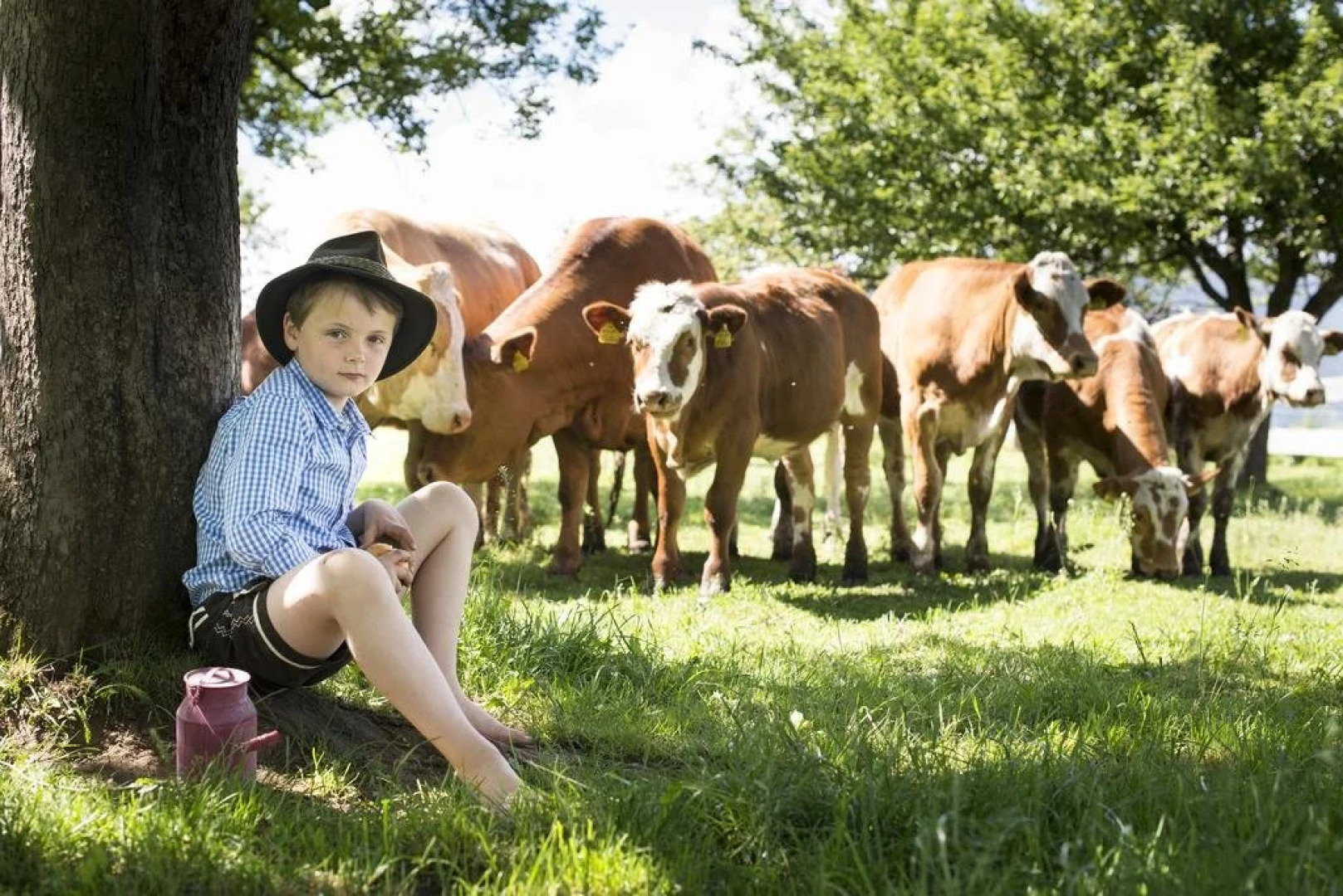 Gasthaus zur Waldschenke