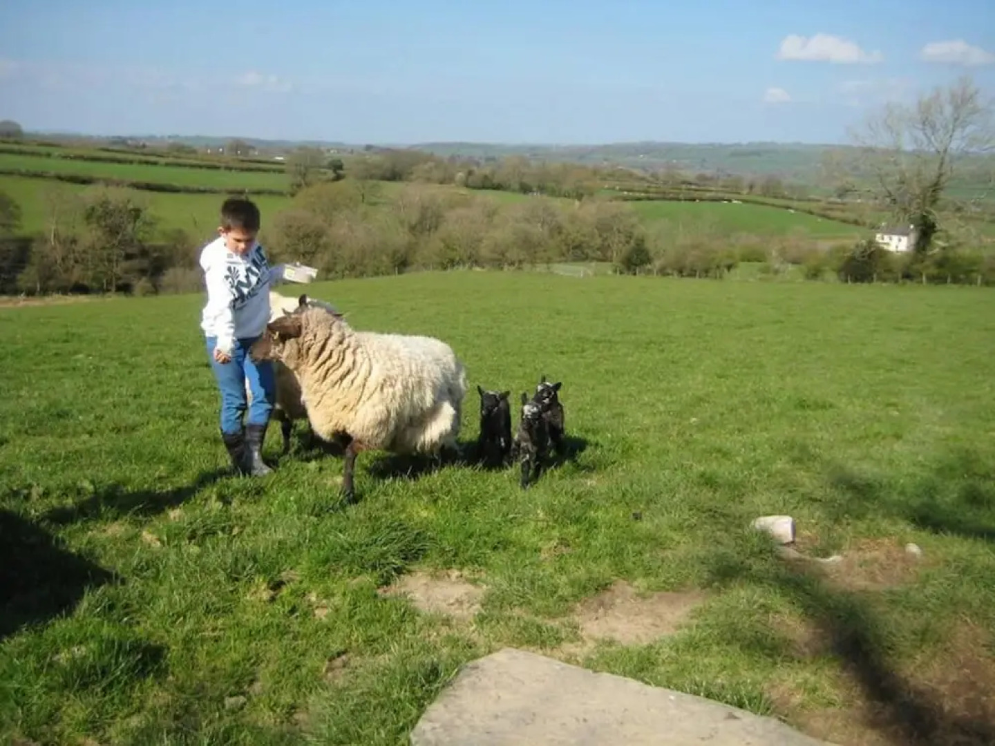 Relaxing Holiday in Millpond Cottage - Cwmiar